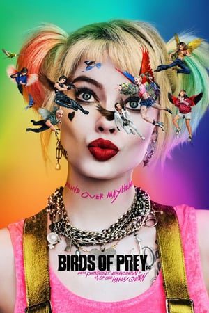 Birds of Prey (2020) Hindi (ORG) Dual Audio 480p HDRip 450MB