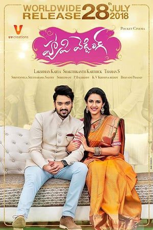 Happy Wedding (2018) (Hindi – Telugu) Dual Audio 480p UnCut HDRip 450MB