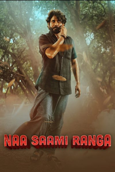 Naa Saami Ranga (2024) UNCUT DS4K WEB-DL [Hindi (ORG 5.1) & Telugu] 4K 1080p 720p & 480p Dual Audio [x264/HEVC] | Full Movie